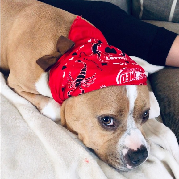 Meet your Posher, Bridgette - Picture 1 of 1